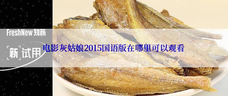 电影灰姑娘2015国语版在哪里可以观看