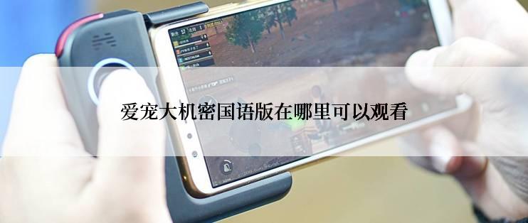 爱宠大机密国语版在哪里可以观看