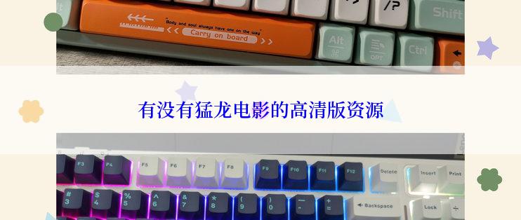 有没有猛龙电影的高清版资源