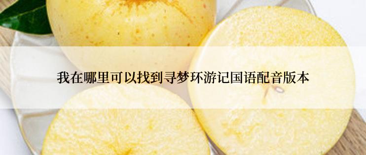 我在哪里可以找到寻梦环游记国语配音版本
