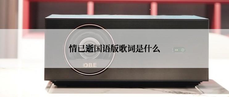 情已逝国语版歌词是什么