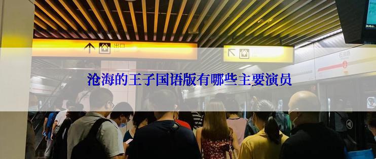  沧海的王子国语版有哪些主要演员
