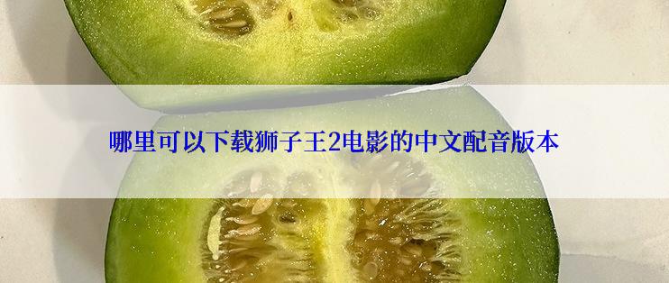 哪里可以下载狮子王2电影的中文配音版本