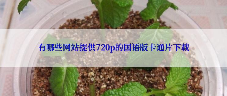 有哪些网站提供720p的国语版卡通片下载