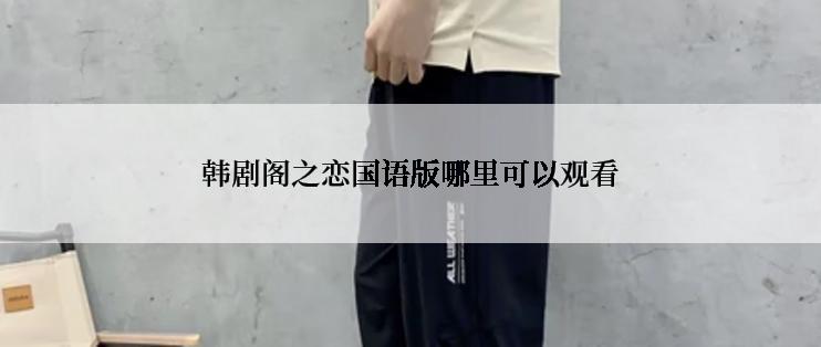 韩剧阁之恋国语版哪里可以观看