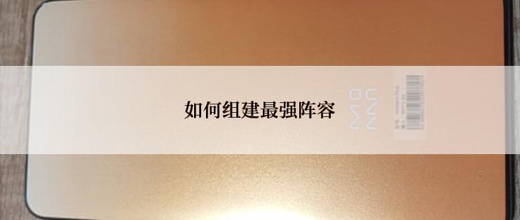 如何组建最强阵容