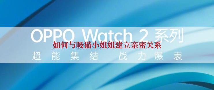 如何与吸猫小姐姐建立亲密关系