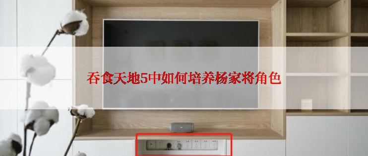 吞食天地5中如何培养杨家将角色