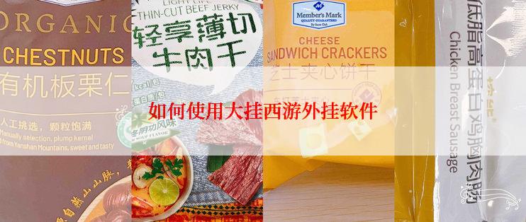 如何使用大挂西游外挂软件