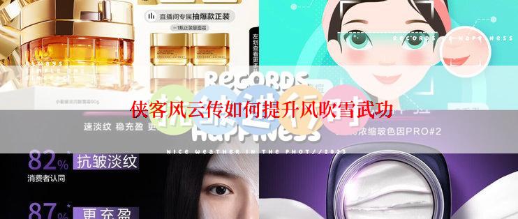  侠客风云传如何提升风吹雪武功