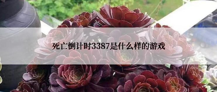 死亡倒计时3387是什么样的游戏