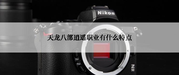 天龙八部逍遥职业有什么特点