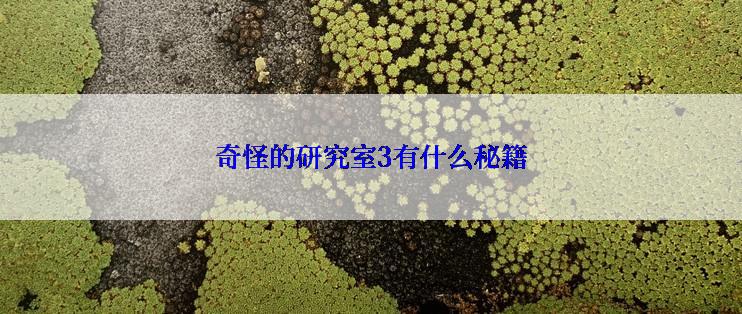 奇怪的研究室3有什么秘籍