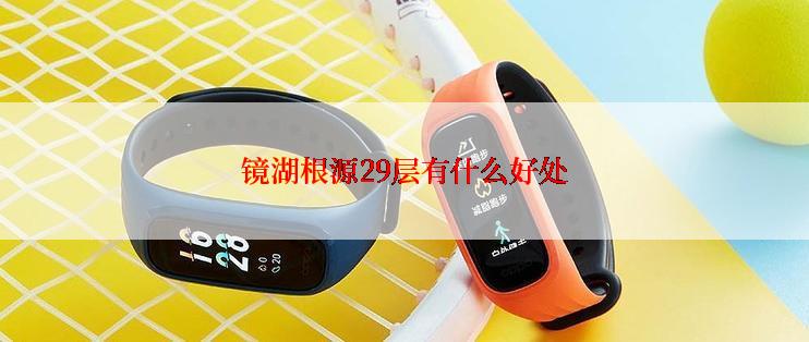 镜湖根源29层有什么好处