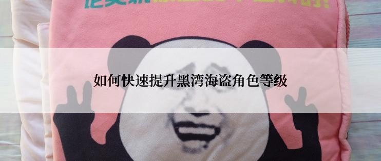 如何快速提升黑湾海盗角色等级