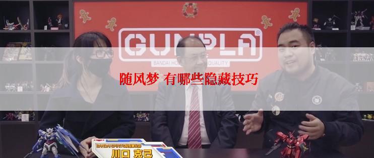 随风梦 有哪些隐藏技巧