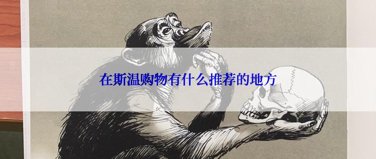 在斯温购物有什么推荐的地方