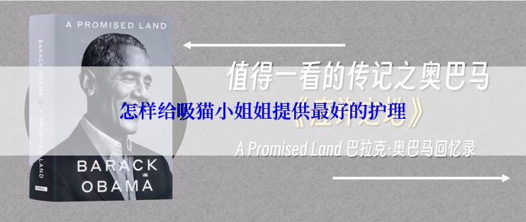 怎样给吸猫小姐姐提供最好的护理