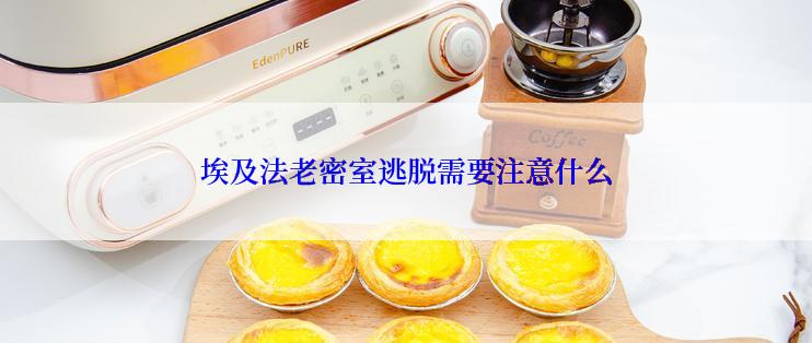 埃及法老密室逃脱需要注意什么