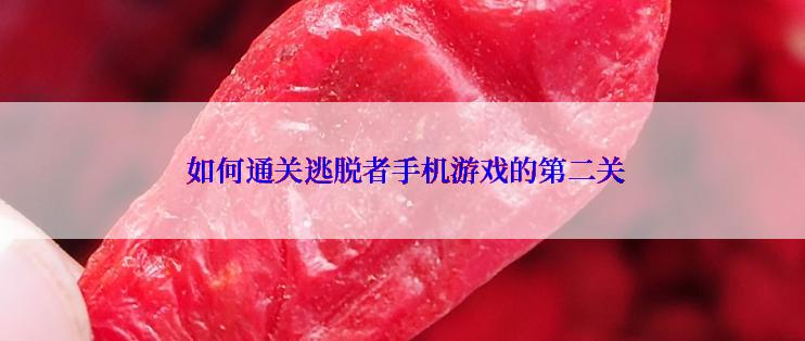  如何通关逃脱者手机游戏的第二关