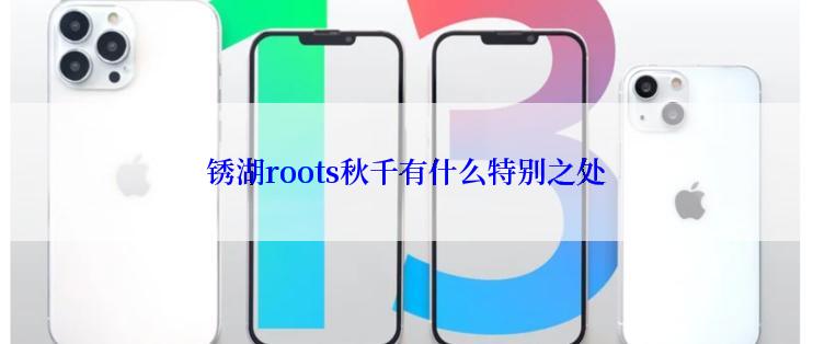 锈湖roots秋千有什么特别之处