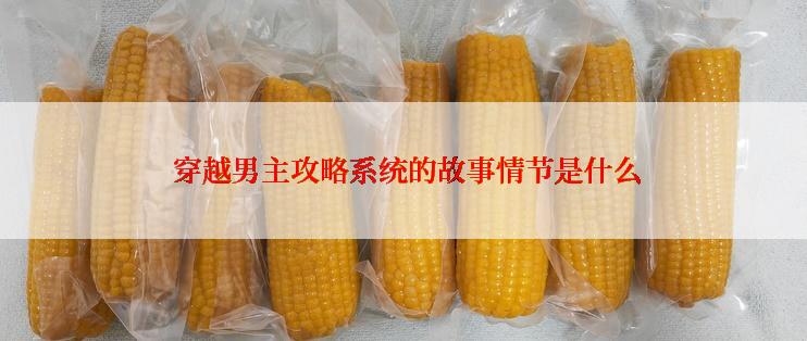 穿越男主攻略系统的故事情节是什么