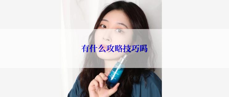 有什么攻略技巧吗
