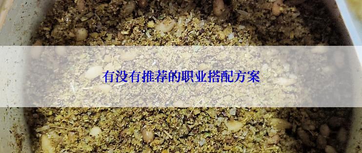 有没有推荐的职业搭配方案
