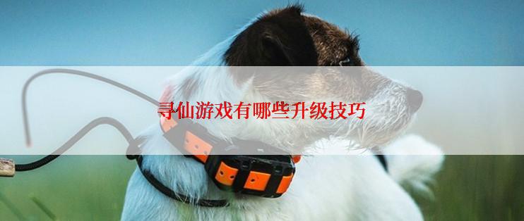寻仙游戏有哪些升级技巧