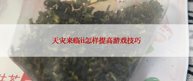 天灾来临ii怎样提高游戏技巧