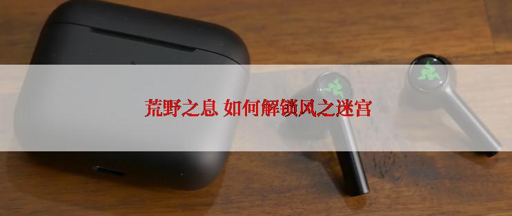  荒野之息 如何解锁风之迷宫