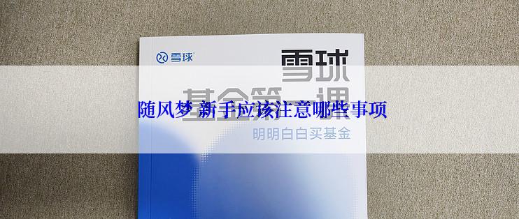 随风梦 新手应该注意哪些事项