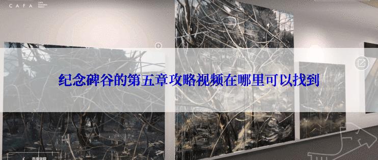 纪念碑谷的第五章攻略视频在哪里可以找到