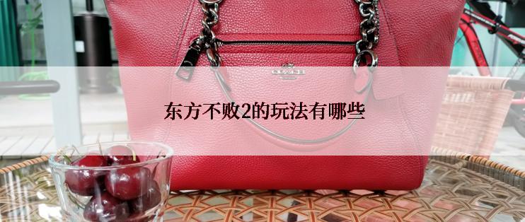  东方不败2的玩法有哪些