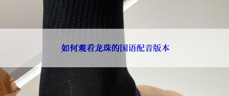 如何观看龙珠的国语配音版本