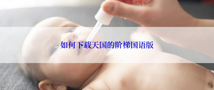 如何下载天国的阶梯国语版