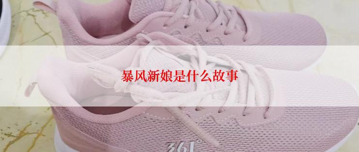 暴风新娘是什么故事