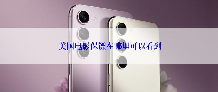  美国电影保镖在哪里可以看到