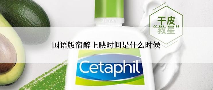 国语版宿醉上映时间是什么时候