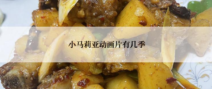  小马莉亚动画片有几季