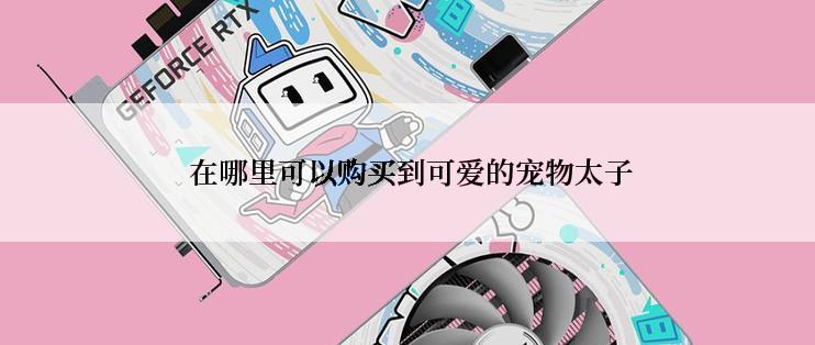  在哪里可以购买到可爱的宠物太子