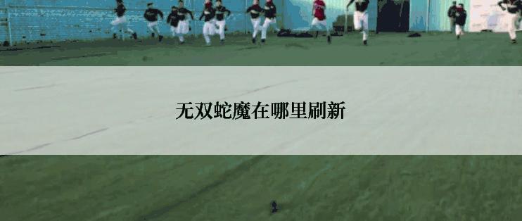 无双蛇魔在哪里刷新