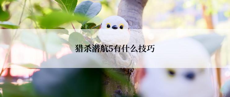 猎杀潜航5有什么技巧