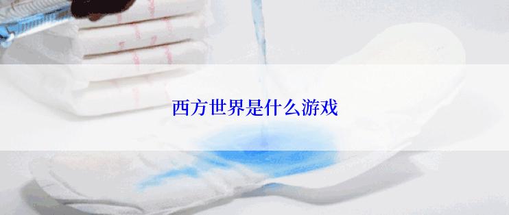 西方世界是什么游戏