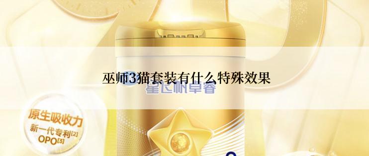  巫师3猫套装有什么特殊效果