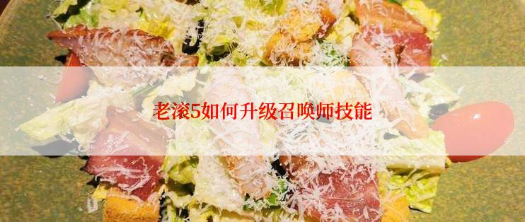 老滚5如何升级召唤师技能