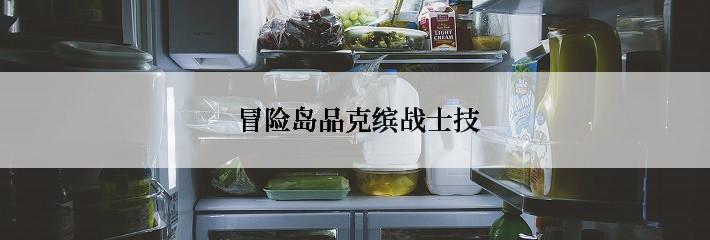  冒险岛品克缤战士技