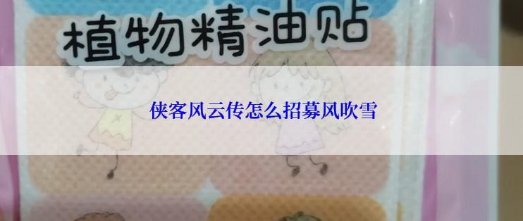  侠客风云传怎么招募风吹雪