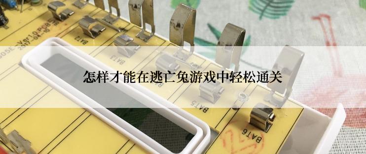 怎样才能在逃亡兔游戏中轻松通关