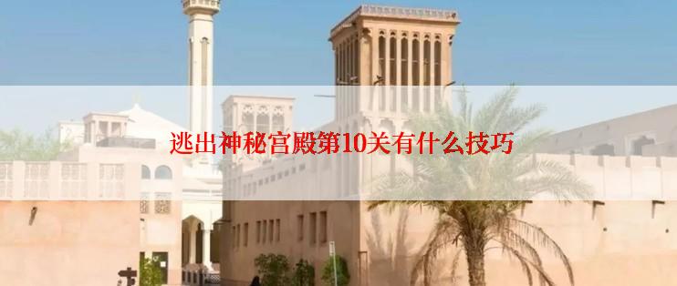  逃出神秘宫殿第10关有什么技巧